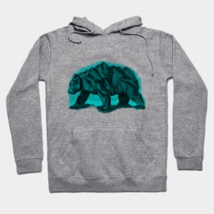 Peak Bear (Color) Hoodie